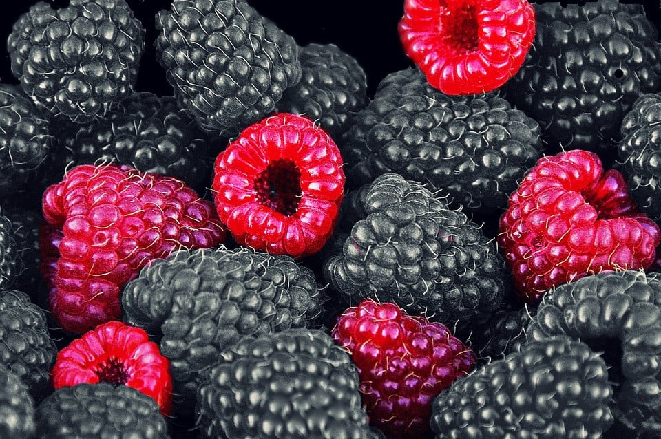 Do Black Raspberries Hold the Key to Oral Cancer Prevention?