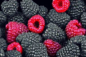 oral-cancer-black-raspberries